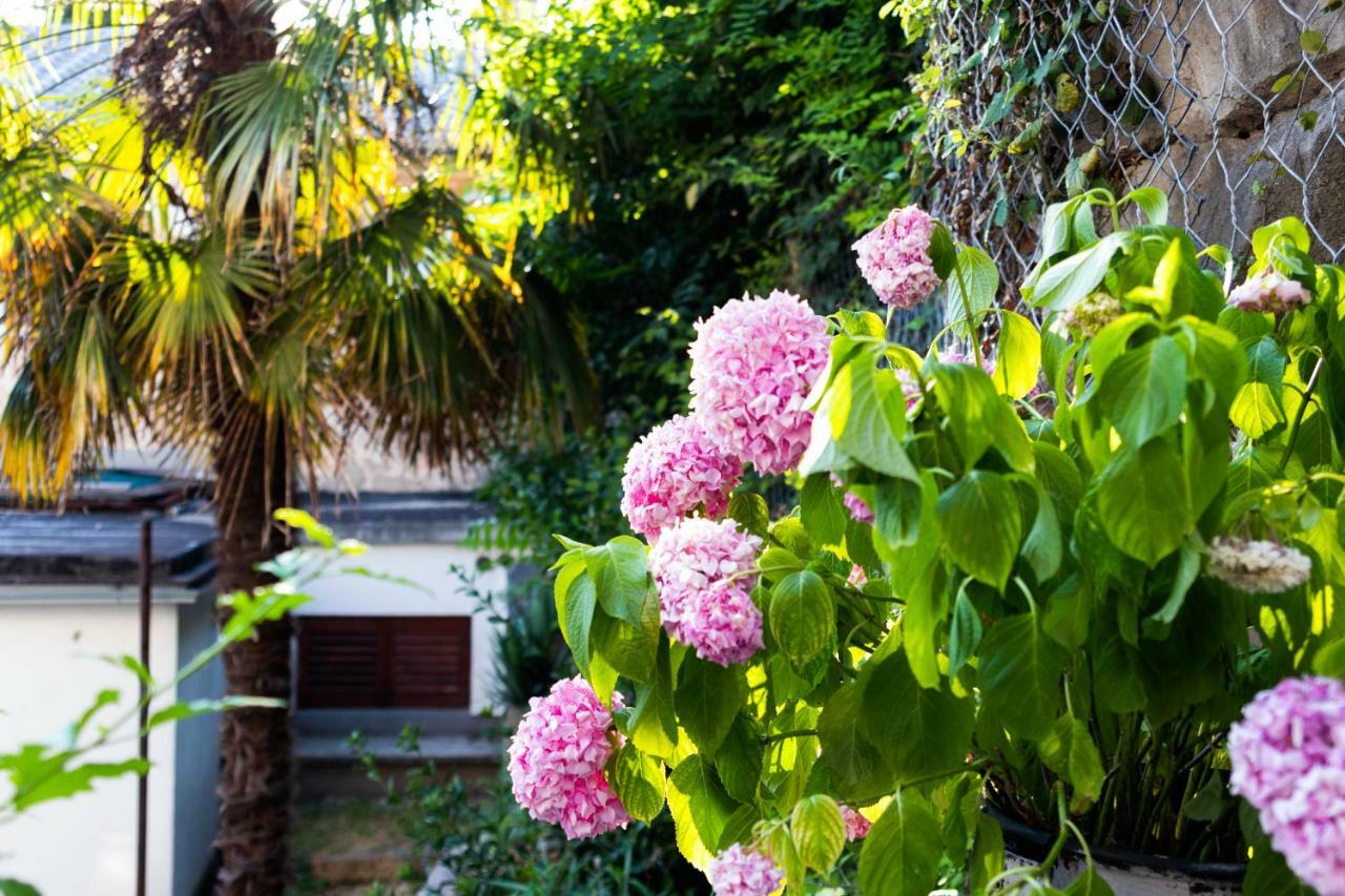 Little Fish Studio Rijeka Exterior foto
